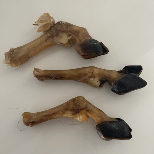 Goat Trotters - 10 Pieces