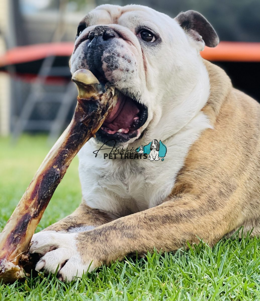 Smoked Beef Bone - 1 Piece - Image 2