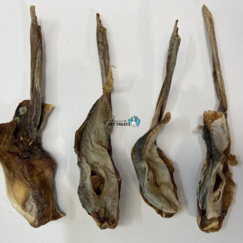 Shark Pizzle - 1kg