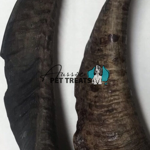 Goat Horn XL- 1 piece 25-30cm