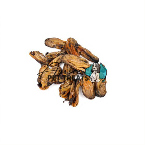 Green Lip Mussels - 1kg P.O.A