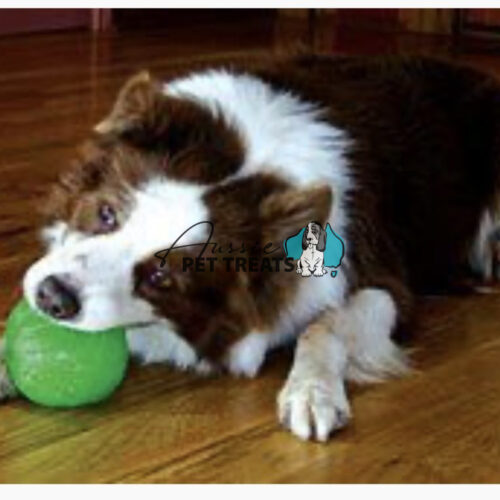 Aussie Pet Treats | Wholesale Pet Treats Australia Aussie Pet Treats | Wholesale Pet Treats Australia Img 1106