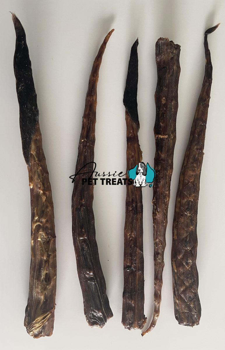 Aussie Pet Treats | Wholesale Pet Treats Australia Aussie Pet Treats | Wholesale Pet Treats Australia Img 2053