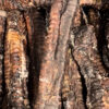 Aussie Pet Treats | Wholesale Pet Treats Australia Aussie Pet Treats | Wholesale Pet Treats Australia Img 6579