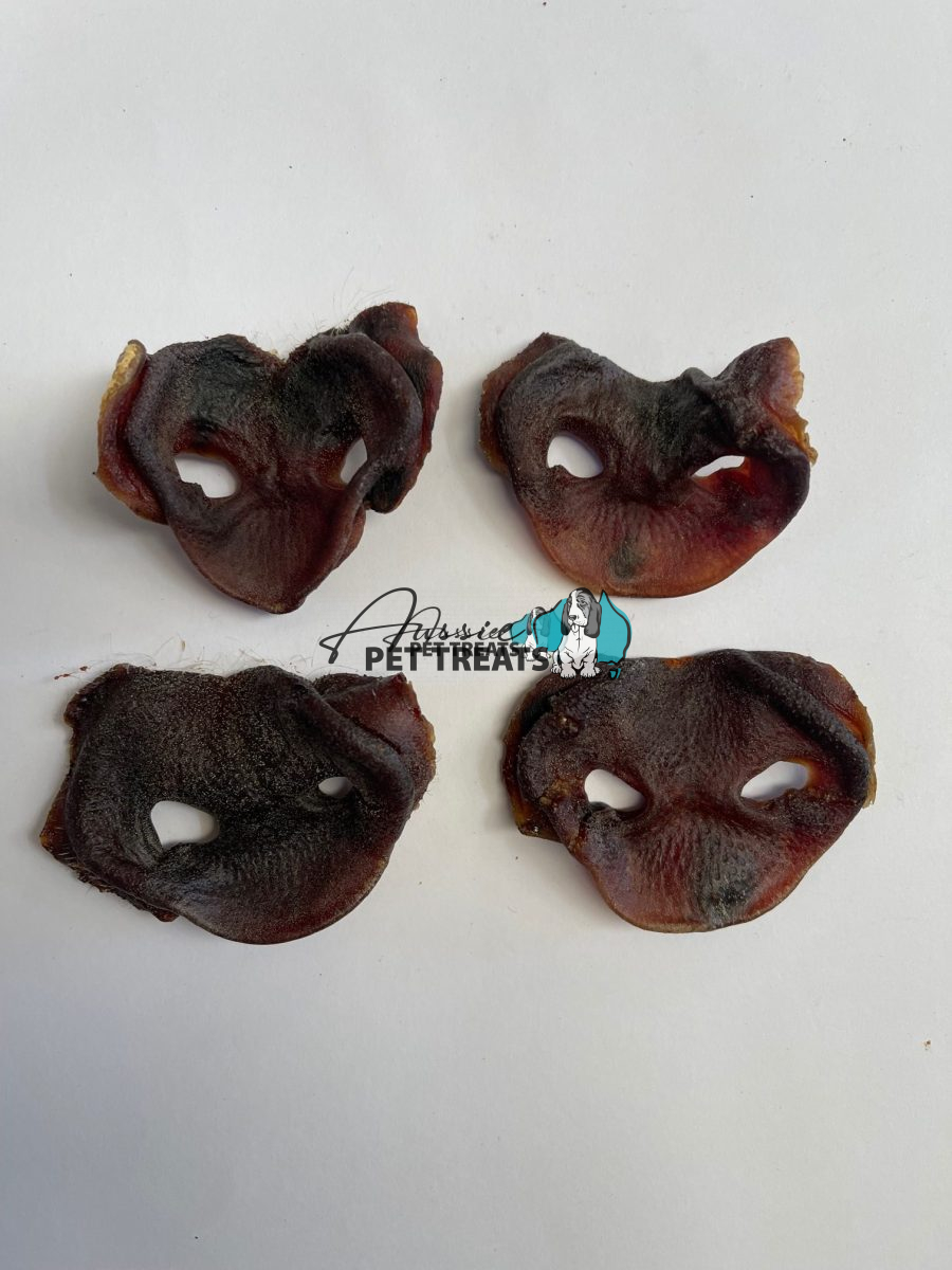 Pig Snouts - 50 Pieces