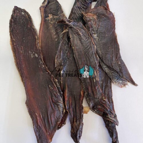 Aussie Pet Treats | Wholesale Pet Treats Australia Aussie Pet Treats | Wholesale Pet Treats Australia Img 9951
