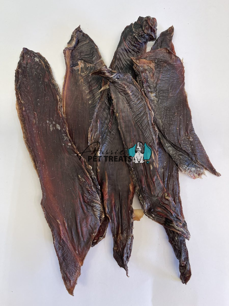 Aussie Pet Treats | Wholesale Pet Treats Australia Aussie Pet Treats | Wholesale Pet Treats Australia Img 9951