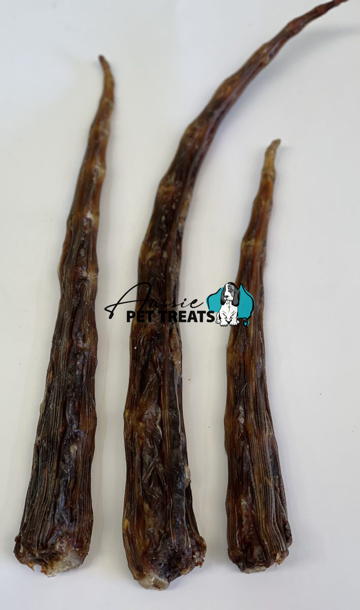 Aussie Pet Treats | Wholesale Pet Treats Australia Aussie Pet Treats | Wholesale Pet Treats Australia Img 9972