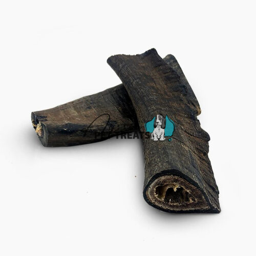 Goat Horn Medium - 1 Piece 15-20cm