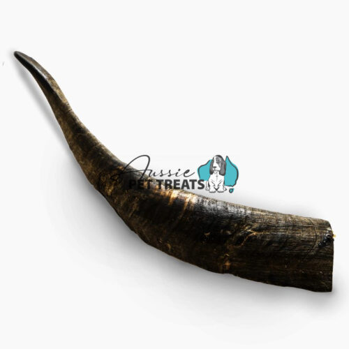 Goat Horn Large - 1 Piece 20-25cm