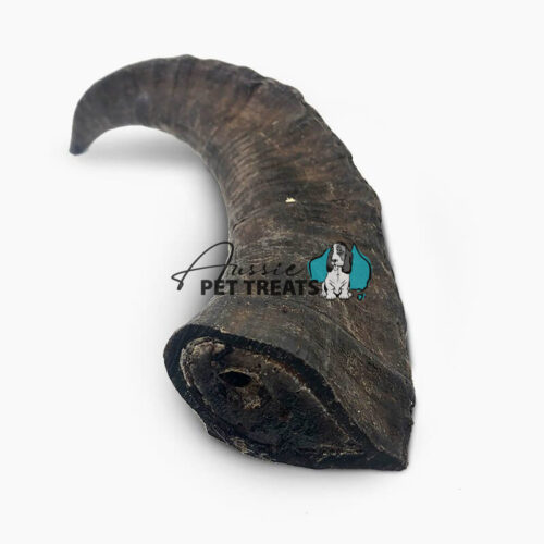 Goat Horn Small - 1 Piece