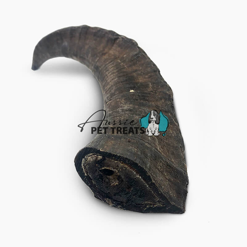 Goat Horn Small - 1 Piece