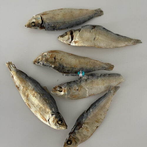 Sardines Whole 1kg