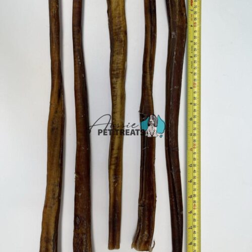 Bull Chew Canes Medium
