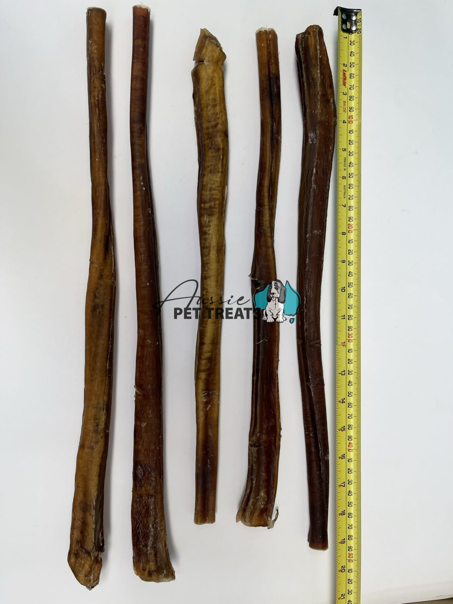Bull Chew Canes Medium