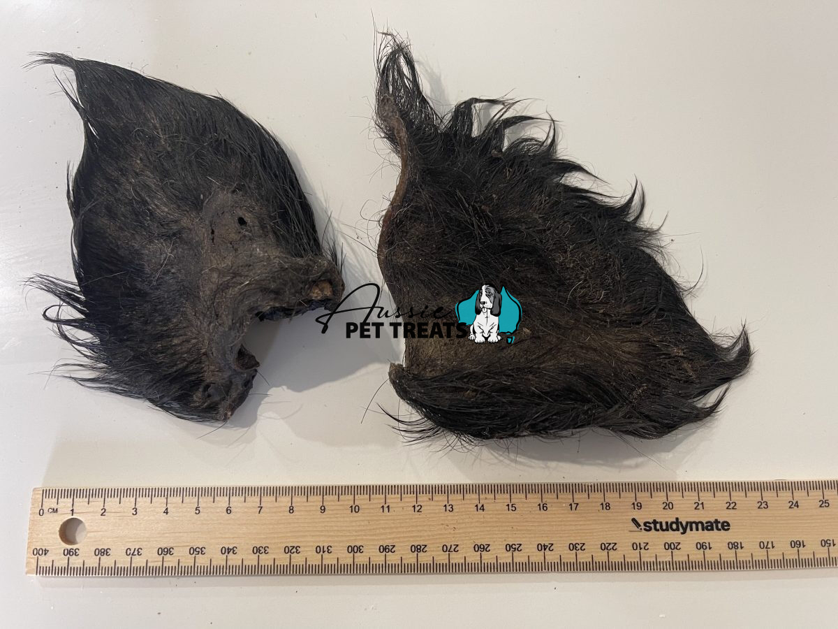 Wild Boar Ears 20 piece