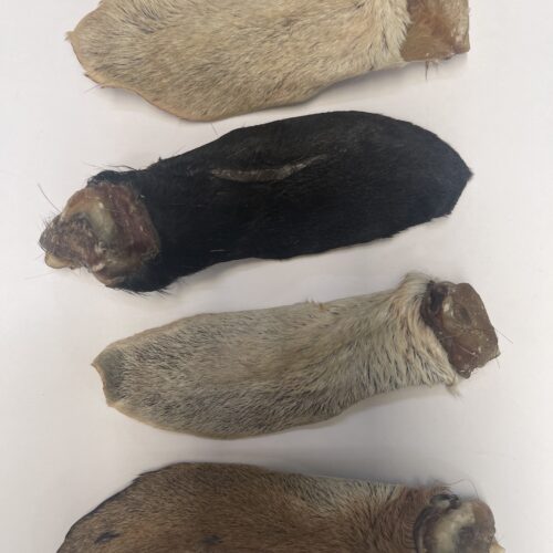 Goat ears with fur 20 piece