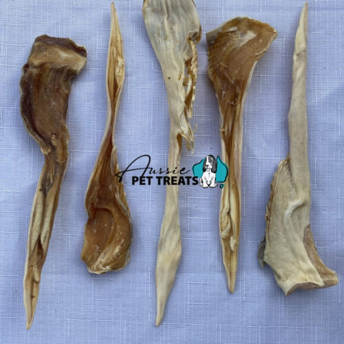 Shark pizzle halves (1kg) an amazing alternative to bull chews
