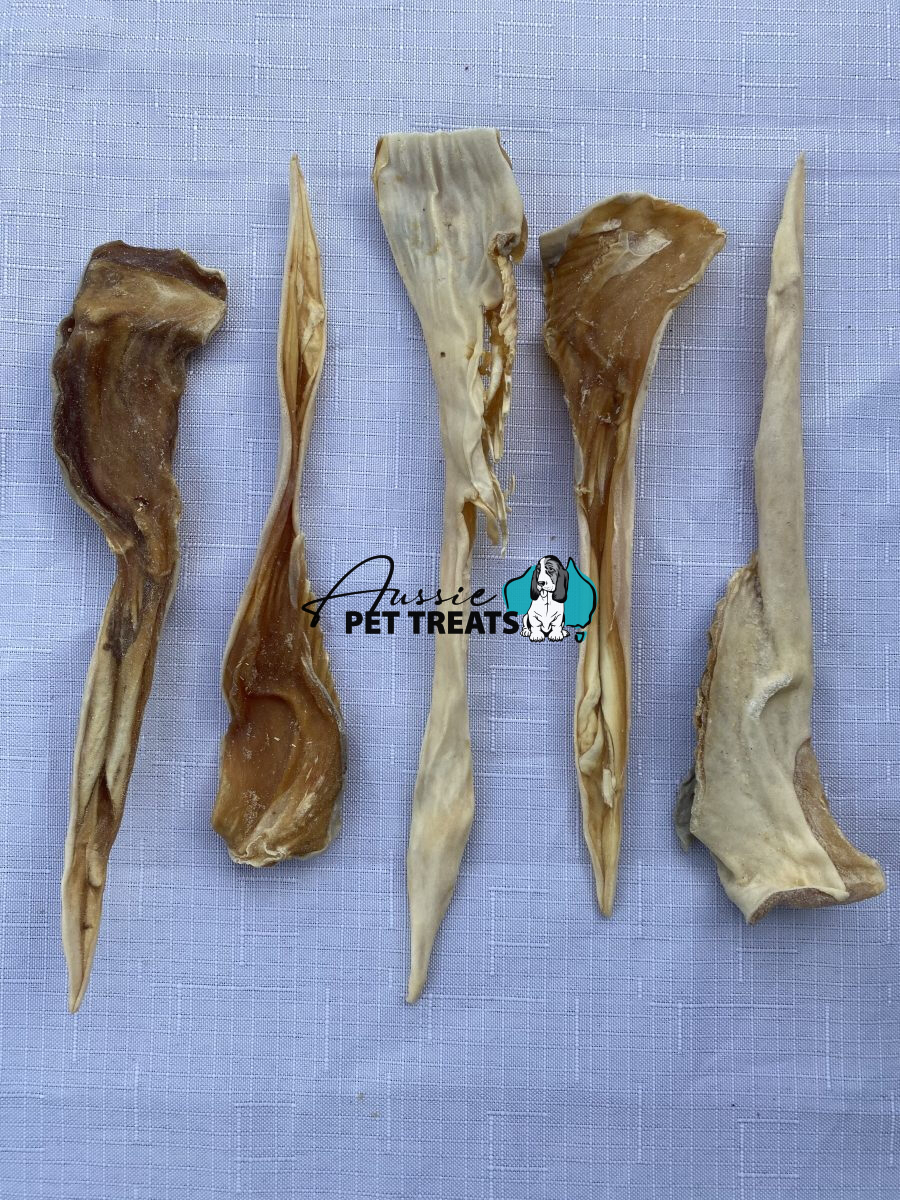Shark pizzle halves (1kg) an amazing alternative to bull chews