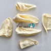Aussie Pet Treats | Wholesale Pet Treats Australia Aussie Pet Treats | Wholesale Pet Treats Australia Aa18b071 625e 466e 8d69 Dc53428e813d