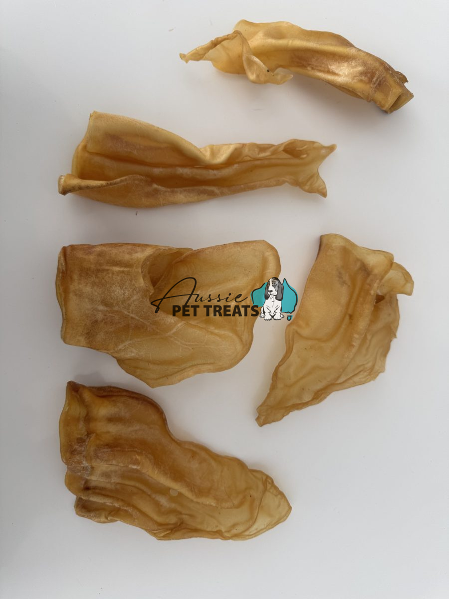 Aussie Pet Treats | Wholesale Pet Treats Australia Aussie Pet Treats | Wholesale Pet Treats Australia Img 9348