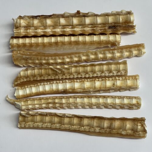 Aussie Pet Treats | Wholesale Pet Treats Australia Aussie Pet Treats | Wholesale Pet Treats Australia Img 8896