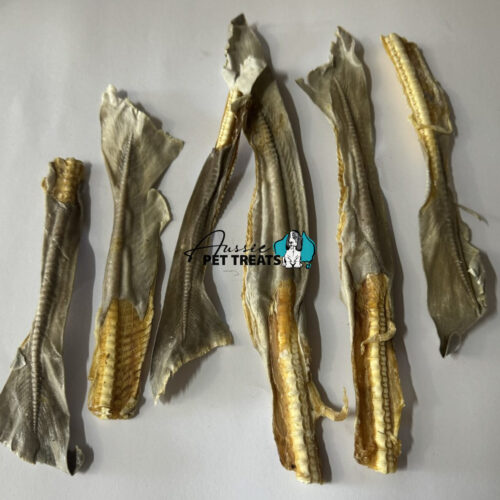 Aussie Pet Treats | Wholesale Pet Treats Australia Aussie Pet Treats | Wholesale Pet Treats Australia Img 7939