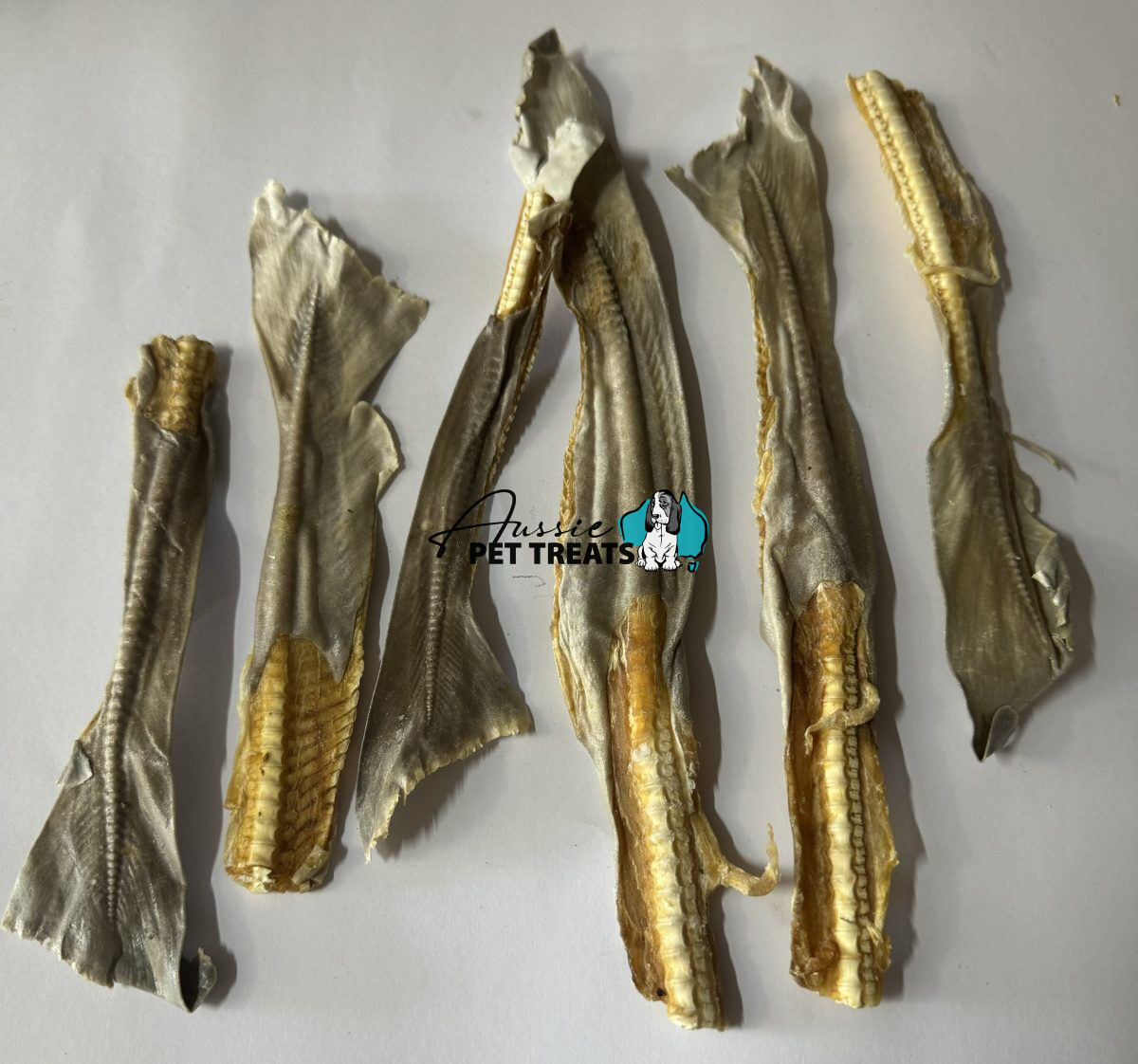 Aussie Pet Treats | Wholesale Pet Treats Australia Aussie Pet Treats | Wholesale Pet Treats Australia Img 7939