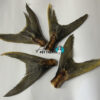 Aussie Pet Treats | Wholesale Pet Treats Australia Aussie Pet Treats | Wholesale Pet Treats Australia Img 7943