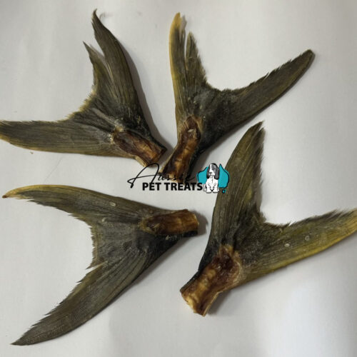 Aussie Pet Treats | Wholesale Pet Treats Australia Aussie Pet Treats | Wholesale Pet Treats Australia Img 7943