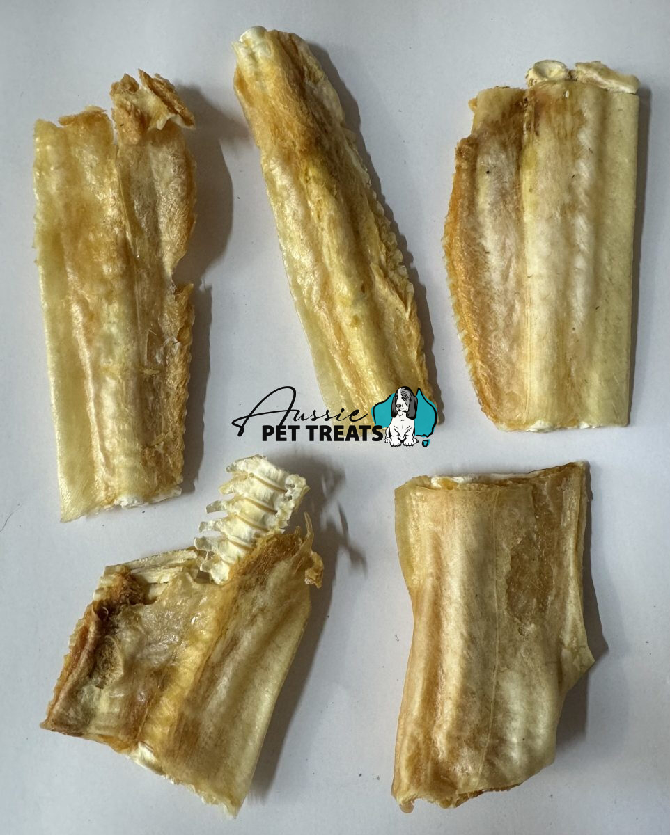 Aussie Pet Treats | Wholesale Pet Treats Australia Aussie Pet Treats | Wholesale Pet Treats Australia Img 7945
