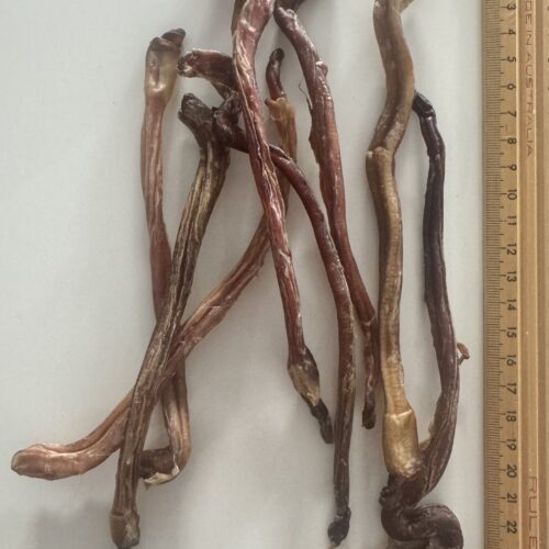 Aussie Pet Treats | Wholesale Pet Treats Australia Aussie Pet Treats | Wholesale Pet Treats Australia Img 4387