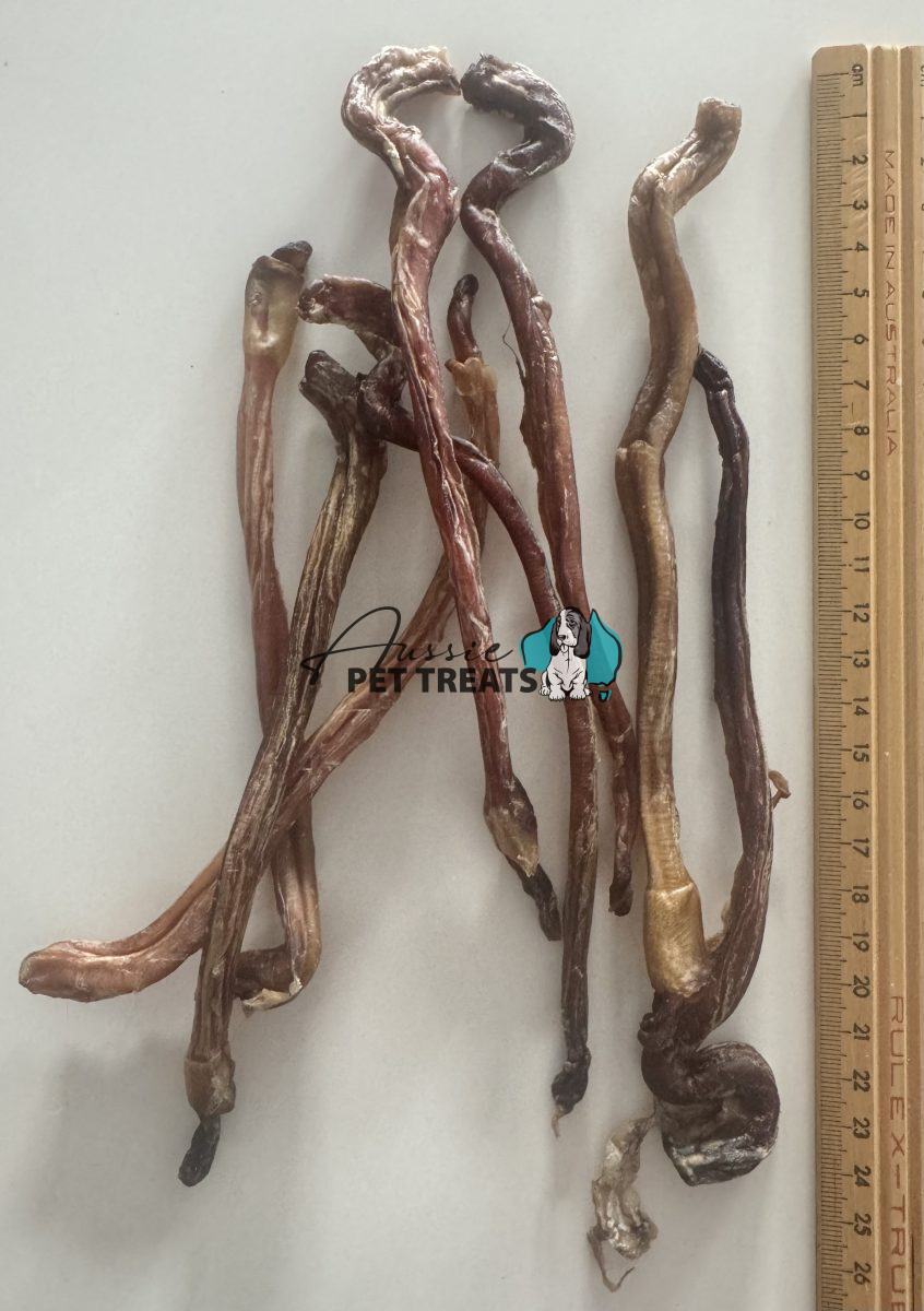 Aussie Pet Treats | Wholesale Pet Treats Australia Aussie Pet Treats | Wholesale Pet Treats Australia Img 4387