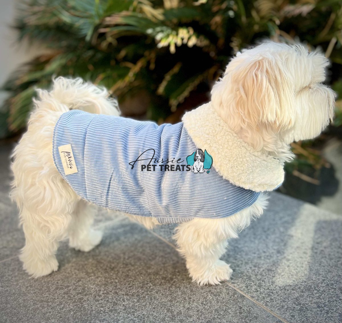 Aussie Pet Treats | Wholesale Pet Treats Australia Aussie Pet Treats | Wholesale Pet Treats Australia Cord Dog Coat Blue