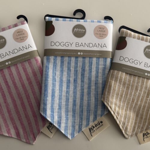Aussie Pet Treats | Wholesale Pet Treats Australia Aussie Pet Treats | Wholesale Pet Treats Australia Img 6373