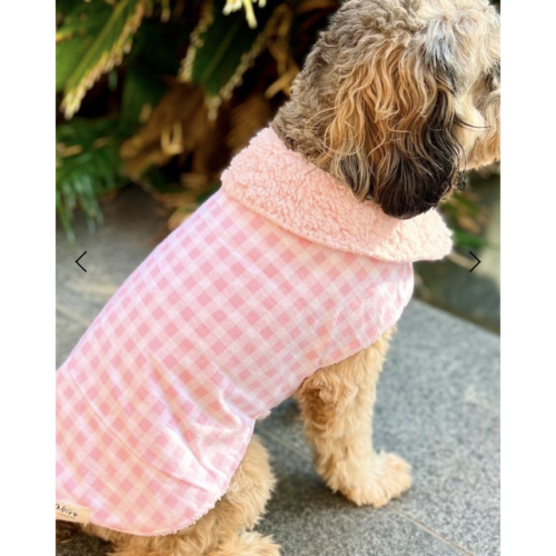 Aussie Pet Treats | Wholesale Pet Treats Australia Aussie Pet Treats | Wholesale Pet Treats Australia Img 6411