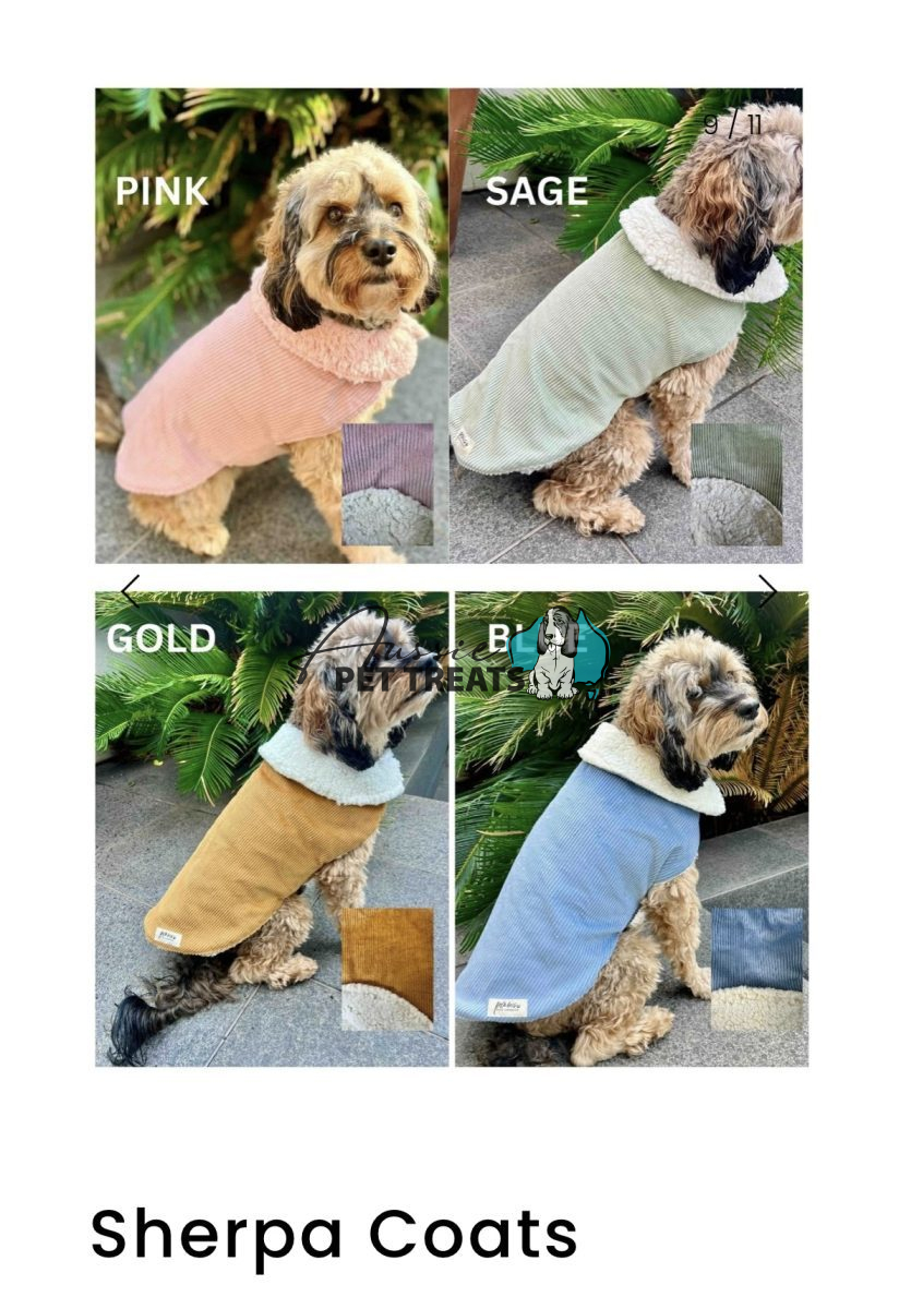 Aussie Pet Treats | Wholesale Pet Treats Australia Aussie Pet Treats | Wholesale Pet Treats Australia Screenshot