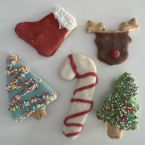 Aussie Pet Treats | Wholesale Pet Treats Australia Aussie Pet Treats | Wholesale Pet Treats Australia Img 8296