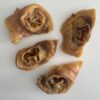 Aussie Pet Treats | Wholesale Pet Treats Australia Aussie Pet Treats | Wholesale Pet Treats Australia Img 9589