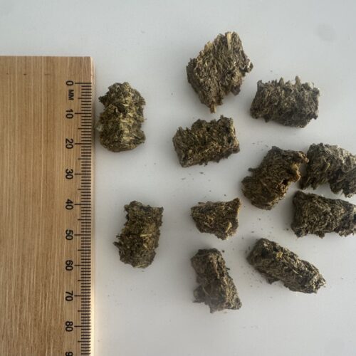 Aussie Pet Treats | Wholesale Pet Treats Australia Aussie Pet Treats | Wholesale Pet Treats Australia Img 2498