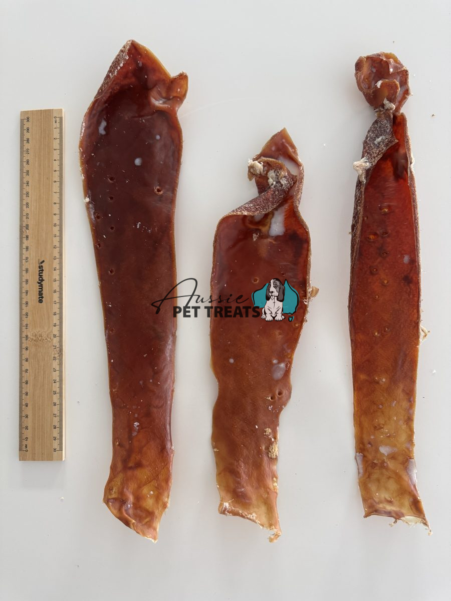 Aussie Pet Treats | Wholesale Pet Treats Australia Aussie Pet Treats | Wholesale Pet Treats Australia Img 2901