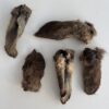 Aussie Pet Treats | Wholesale Pet Treats Australia Aussie Pet Treats | Wholesale Pet Treats Australia Img 3314