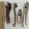 Aussie Pet Treats | Wholesale Pet Treats Australia Aussie Pet Treats | Wholesale Pet Treats Australia Img 4013